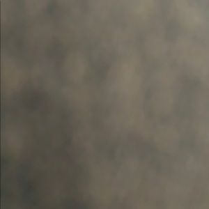 Meet your Posher, Bridgett